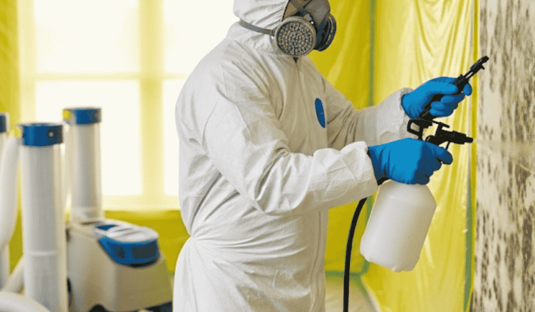 Mold Remediation