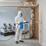 Mold damage restoration